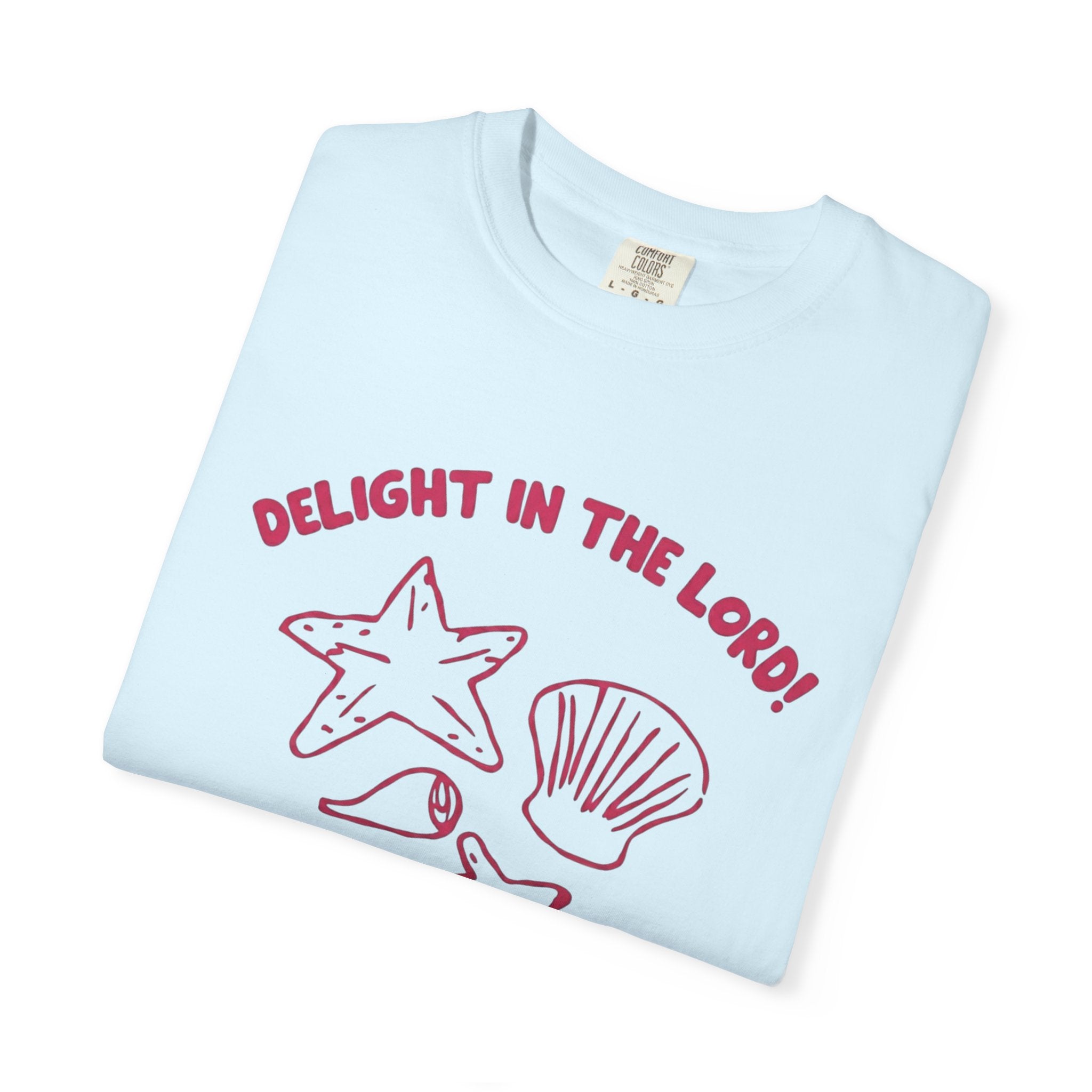Clothed In Christ T‑Shirt —Delight In The Lord Tee Printify