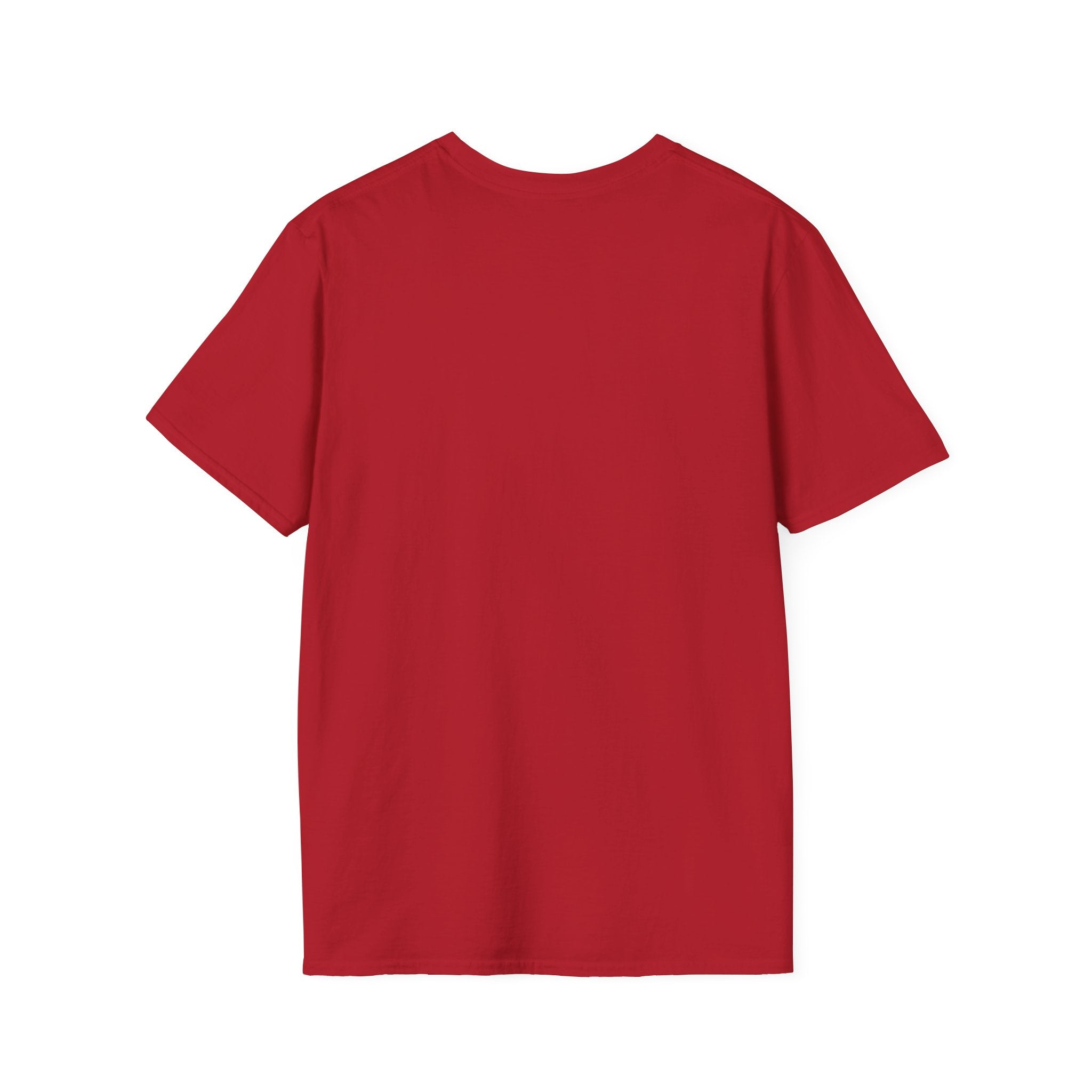 Salty Since 1776 Salty Shenanigans Apparel  T-Shirt Printify