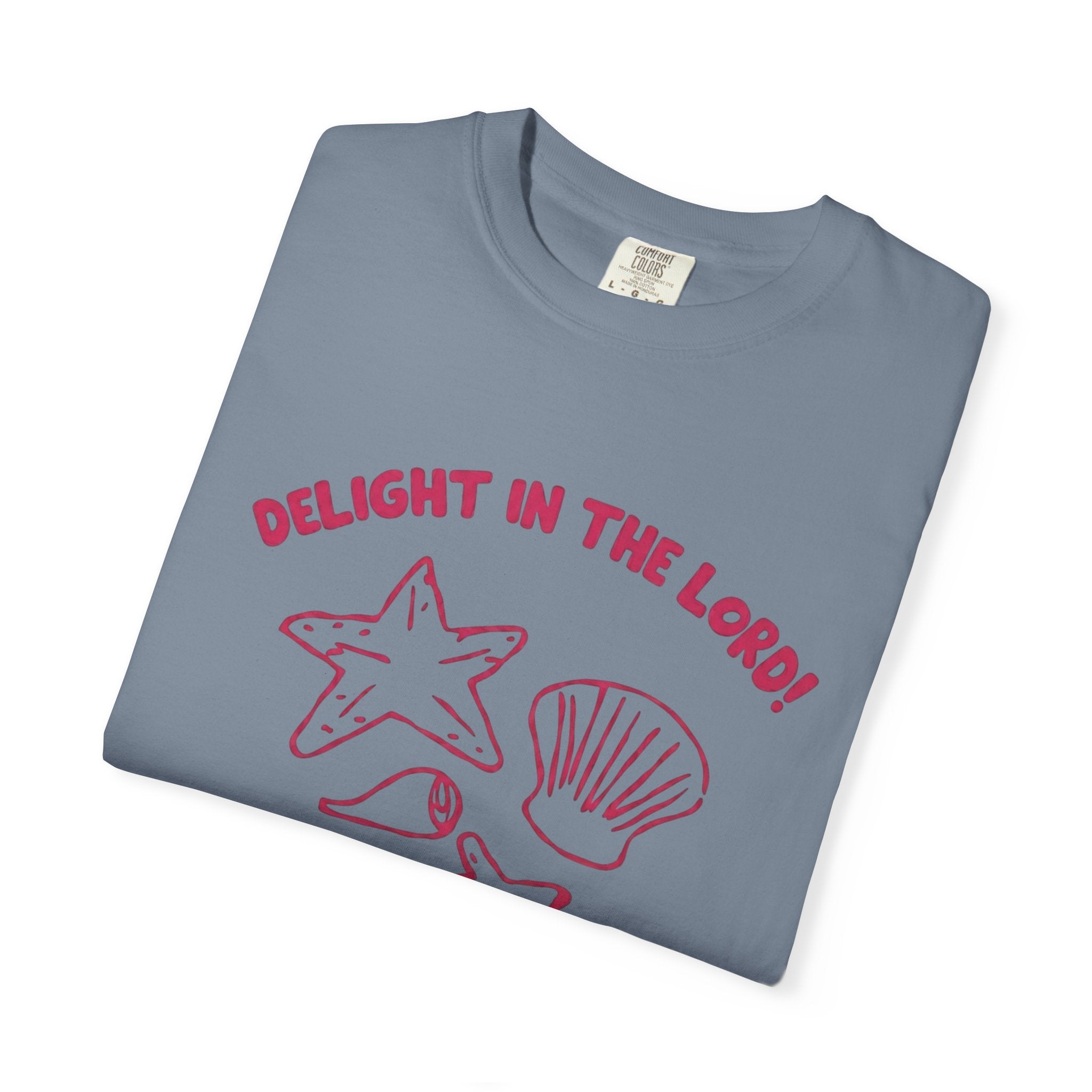 Clothed In Christ T‑Shirt —Delight In The Lord Tee Printify