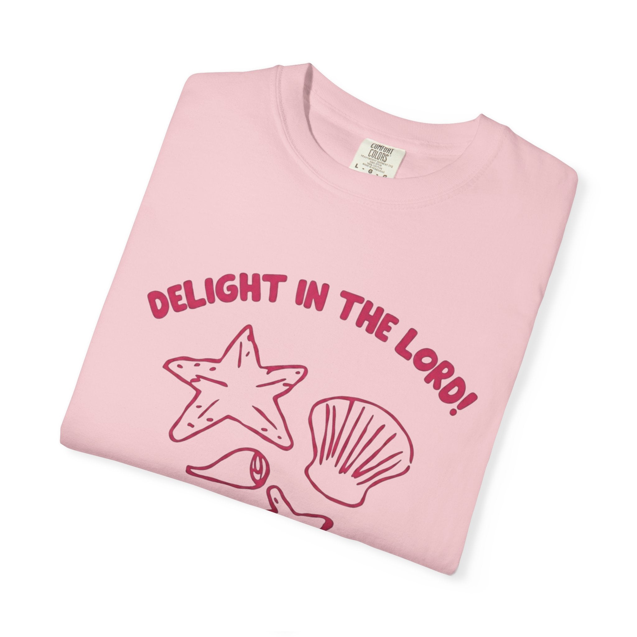 Clothed In Christ T‑Shirt —Delight In The Lord Tee Printify