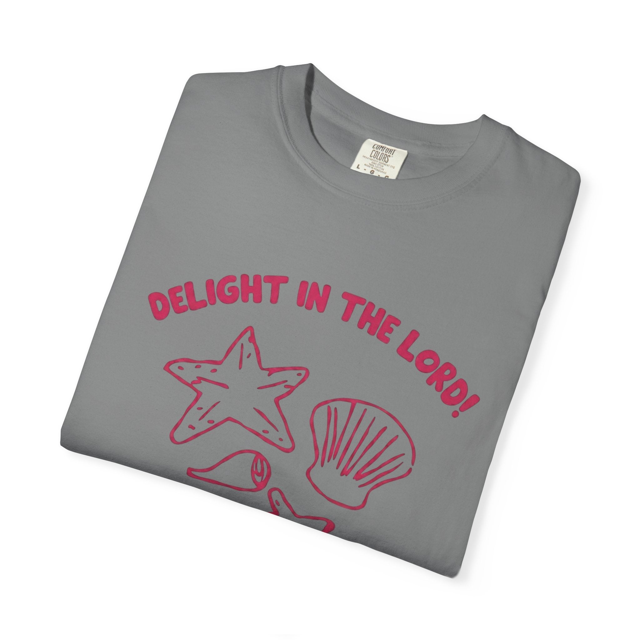 Clothed In Christ T‑Shirt —Delight In The Lord Tee Printify