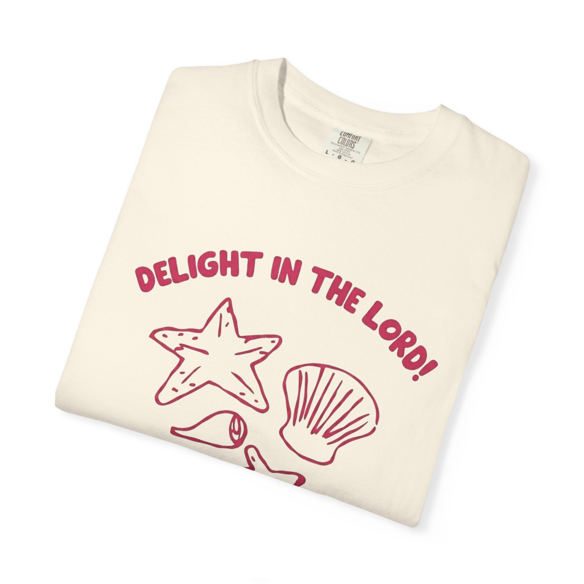 Clothed In Christ T‑Shirt —Delight In The Lord Tee Printify